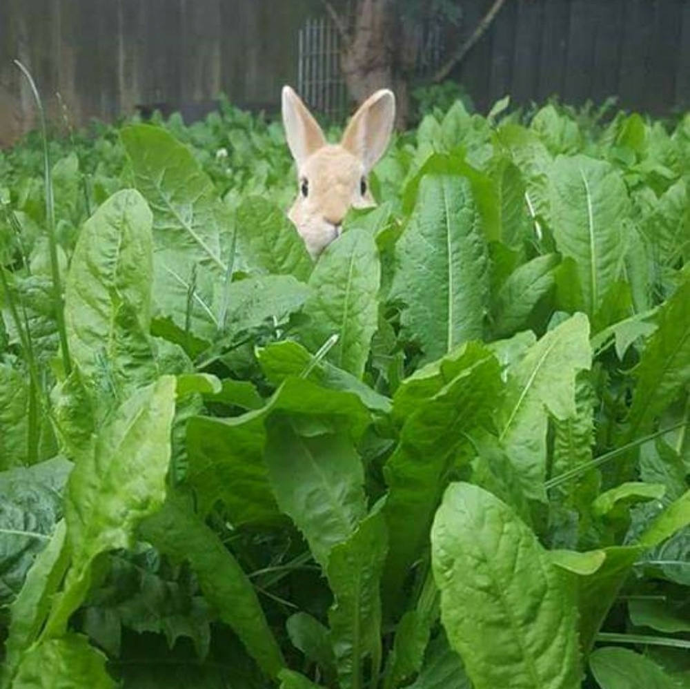 Meet your Posher, Deb